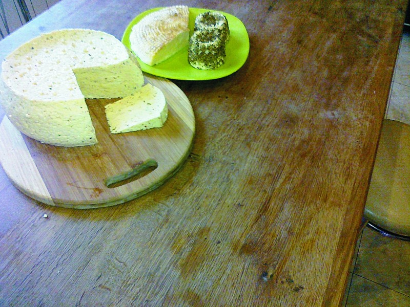 Produkują ekologiczne sery