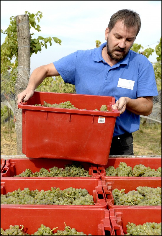 Podążam za swoją pasją