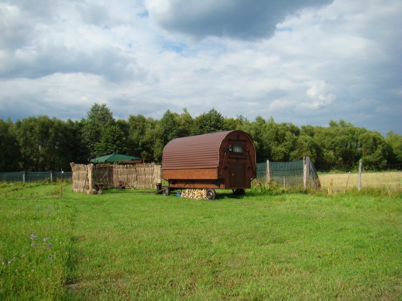 Noc pod gwiazdami