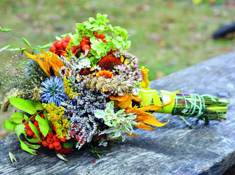 Nowe oblicze roślin z pół i łąk -możliwości ich wykorzystania we florystyce