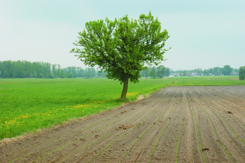 Przedsiębiorczość motorem zmian