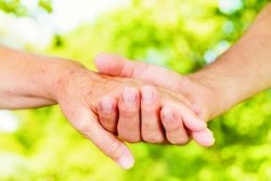 Gospodarstwa opiekuńcze