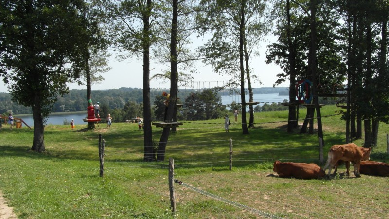 Park linowy – pomysł na biznes