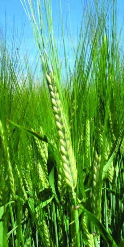 Współpraca się opłaca