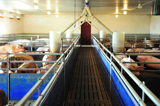 Zostać specjalistą, profesjonalistą