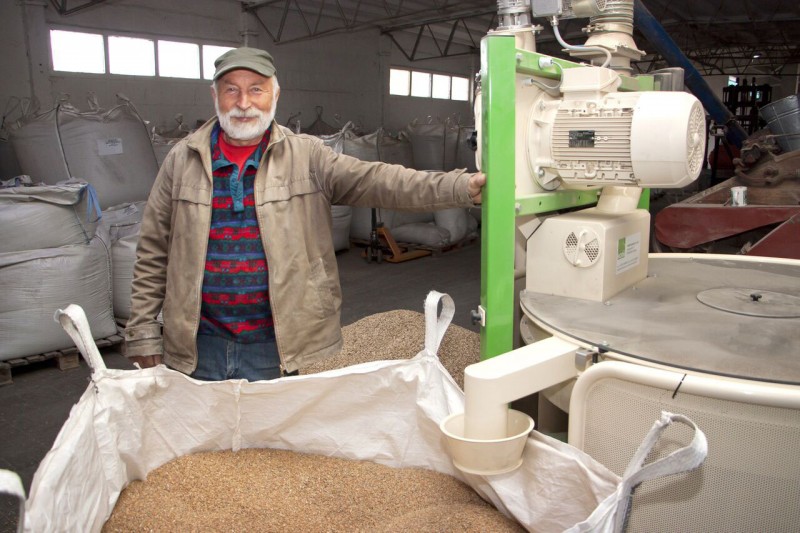 Tańczący z kłosami