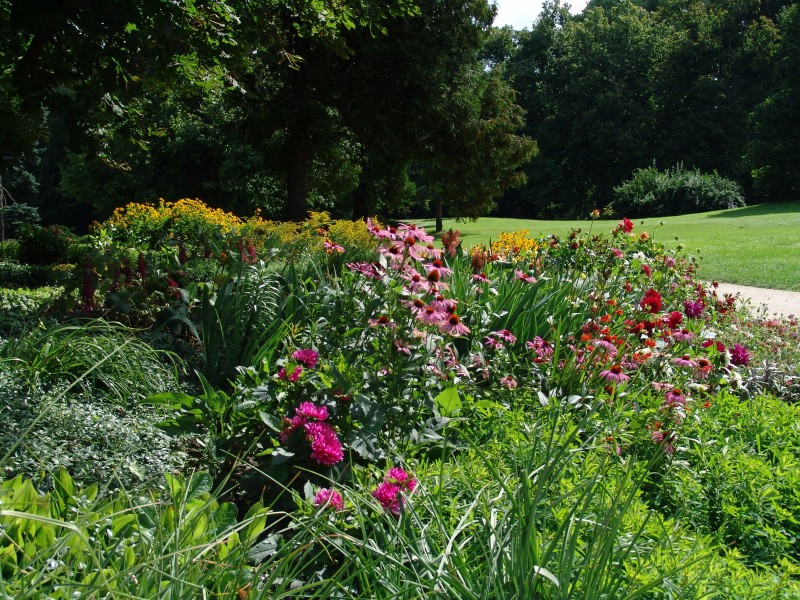 Ogrody preriowe – idealna propozycja dla zapracowanych