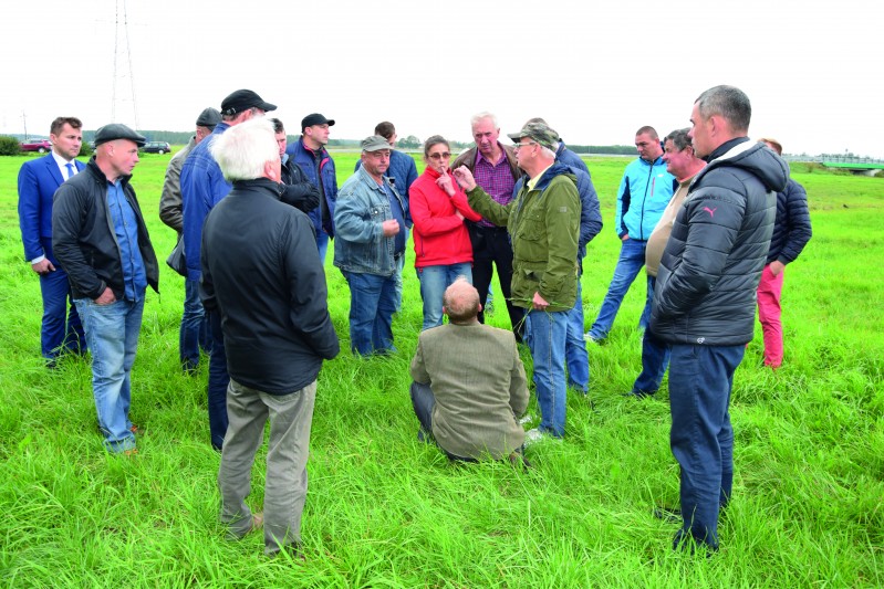 Dobre praktyki grupowego działania