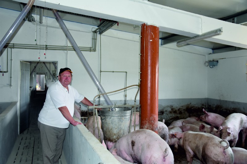 Gospodarstwo w Okoninie