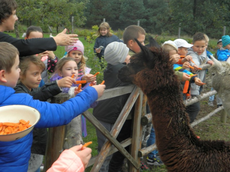 Pozwól mi  zrobić, a zrozumiem