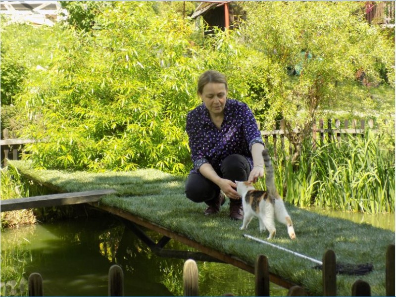 Po piękne widoki nie trzeba jechać za siódmą górę