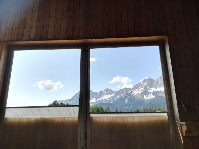 Tam, gdzie krowy mają okna z widokiem