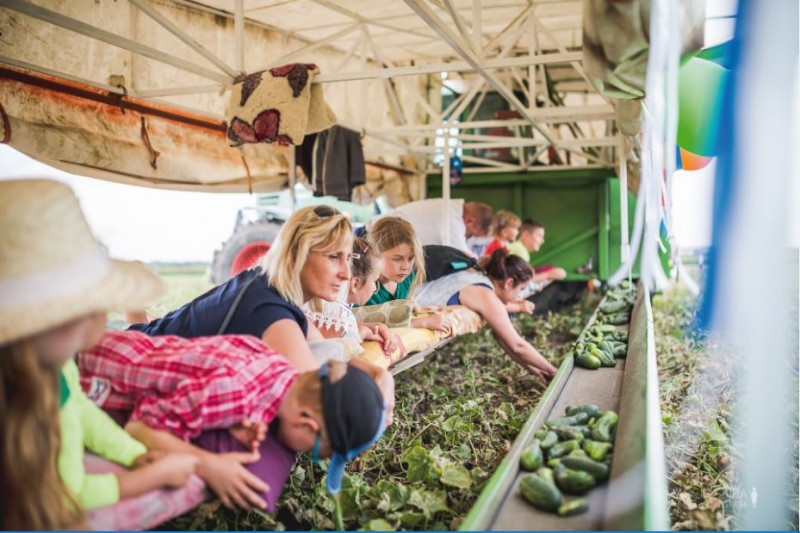 Zielony ma garniturek