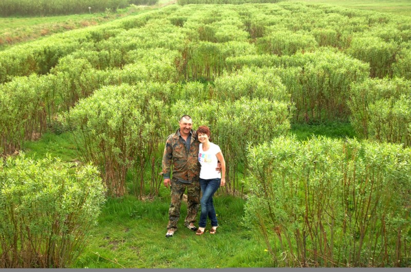 Paprockie magiczne labirynty