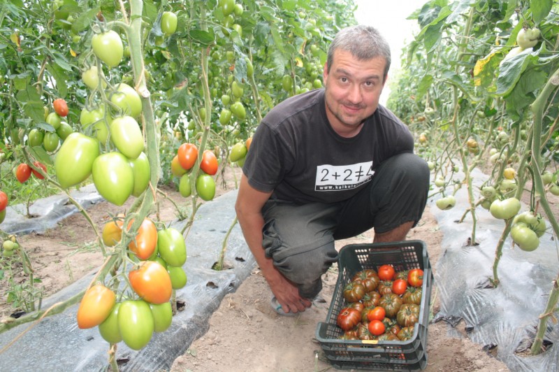 Co słychać u Dobrodziejów